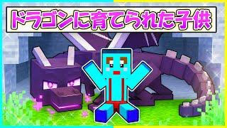 ドラゴンに育てられ成長したマインクラフト【まいくら / マインクラフト】