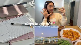 spring sem at uc berkeley ˖𓍢ִ໋͙֒˚.⋆ : solo date, secret to productivity, fun with friends