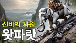 초보자도 가능한 치앙마이 몽크트레일, 직접 걸어본 왓파랏 하이킹 후기