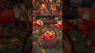 Badal barsha bijuli#Full season#trending #support #please_subscribe_my_channel 