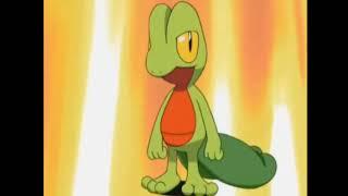 Pokemon Meme | Treecko Grass Type | Poke Club