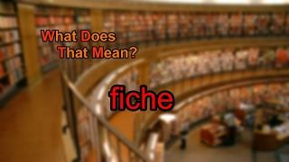 What does fiche mean?