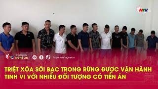 Triệt xóa sới bạc trong rừng được vận hành tinh vi với nhiều đối tượng có tiền án