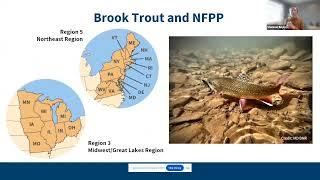 National Fish Passage Program Funding and Brook Trout