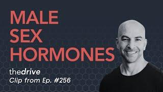 Male sex hormone system: how it works, testosterone, low T symptoms, TRT, and more | Peter Attia