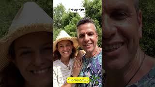צלף קוצני