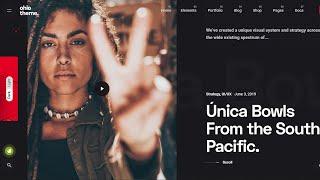 Best WordPress Portfolio Themes To Create a WordPress Portfolio Website