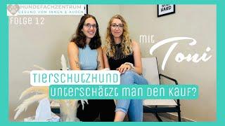 #12Folge Tierschutzhund - SOS! Unterschätzt man diesen Kauf?