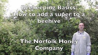 Beekeeping Basics - How to Add a Super - The Norfolk Honey Co.