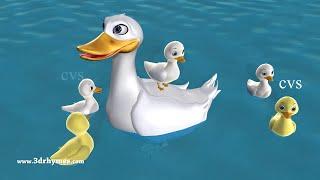 Five Little Ducks Went Out One Day - 3D Animation Five Little Ducks Nursery Rhyme for children