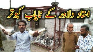 USTAD DILAWAR KE BREEDER KABOOTAR KA SHOOQ || POLAGPIGEONCLUB