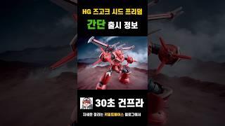 건담이 타고 있어요! HG 즈고코 시드 프리덤 버전 출시 정보 #gundamseed