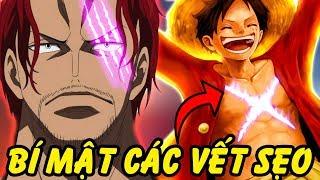 Sự Thật Về Những Vết Sẹo Bí Ẩn Trong One Piece