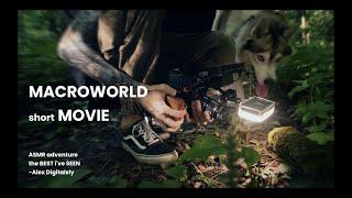 MACROWORLD 4K | Short Film by Digitalsly | #МАКРОМИР