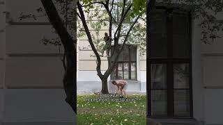 «Это объект министерства обороны!» Мужик тырит яблоки в центре Петербурга! #музыка #еда #Питер