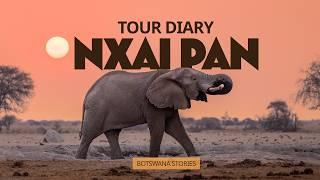 African Wildlife Safari : Nxai Pan, Botswana