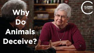 Jennifer Mather - Why Do Animals Deceive?