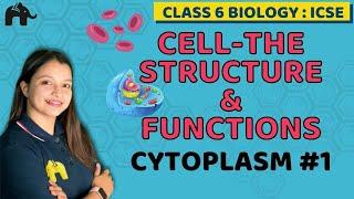 Cell-The structure & Functions Class 6 ICSE Biology Chapter 3 | Selina | Cytoplasm #1
