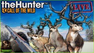 1071 Bucks Into Great One Mule Deer Grind #2! Fully Herd Managed Askiy Ridge Grind! Call of the wild