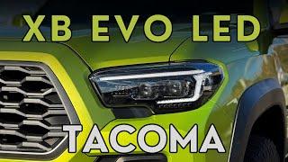 Should you upgrade to the new Tacoma XB EVO lights? Complete comparison to the XB LED headlights!