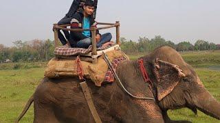 SAURAHA CHITWAN NEPAL Our Photo collection| we visited Chitwan 2019| Elephant Sawari