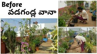 vlog # My Sunday Morning cleaning routine in my Terrace Garden # How I maintain clean and neat