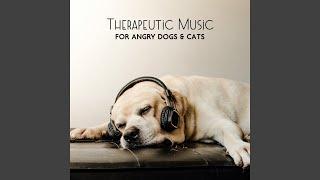 Music For Dogs