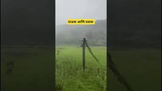 Monsoon Kokan Railway Travel. #monsoon #marathisong #rain #scenicviews #railway