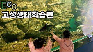 【원이랜드】고성생태학습관 다녀왔어요 다음에 꽃이 만개할때 한번 더 와야겠네요