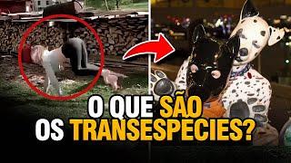 TRANSESPÉCIES Estão Se ESPALHANDO!  O Que Pode ACONTECER?