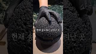 1인 59000원 제주도컨셉의 송도 안돈오마카세