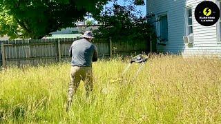 My BIGGEST OVERGROWN (Part 1) Lawn Transformation