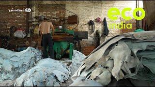 Eco India: Kanpur's tanneries adopt sustainable practices to cut environmental impact