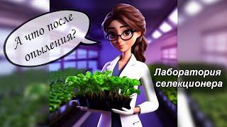 Как извлечь и посеять семена фиалки │ Правильный грунт для лучшей всхожести
