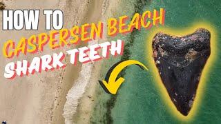 EVERYTHING YOU NEED TO KNOW about Caspersen Beach Shark Teeth hunting