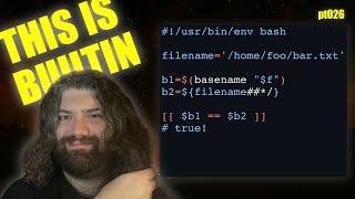 Basic Parameter Expansion in Bash - You Suck at Programming #026