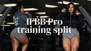 IFBB Pro Training Split