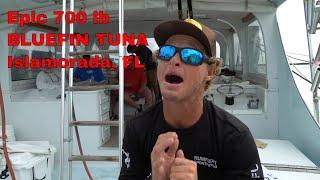 700 lb Bluefin Tuna in ISLAMORADA aboard KALEX! March 2021 / Bud n' Mary's Marina