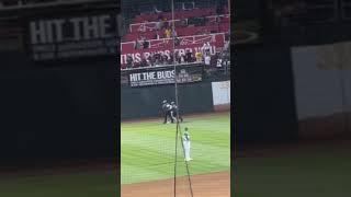 Crazy fan gets dragged off the Oakland Athletics Field Mid Game