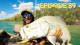 HUGE BARRAMUNDI | 3 DAYS SLEEPING IN THE TREES