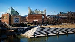 So Much to See at the Tennessee Aquarium