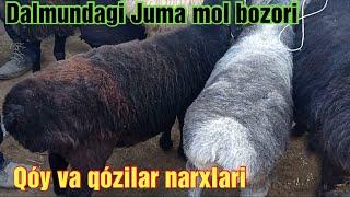 Jondor Dalmun Juma mol bozori qo'y-qo'zilar narxlari 12/11/2021