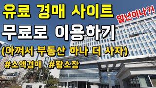 부동산 경매 유료 사이트 일년동안 무료로 이용하는 방법 - 소액경매하는데 아껴야지