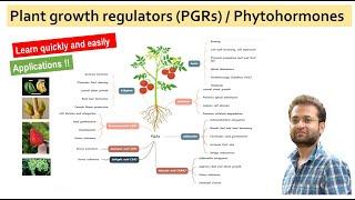 Role of Plant growth regulators (PGRs) in plant growth and development.