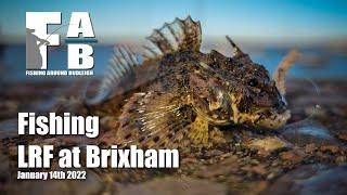 LRF Fishing at Brixham - January 14th 2022