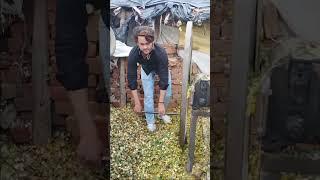 Sameer Ziddi boy new video