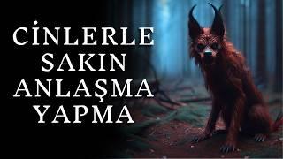 Köyümüzde Cinler Yüzünden Yaşadığımız Korkunç Olaylar | Korku Hikayeleri Paranormal Cin Hikayeleri