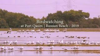 Birdwatching at Port Qasim | Russian Beach