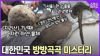 [스브스와이드] 전국 방방곡곡 미스터리