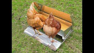 Soft Close Chicken Feeder